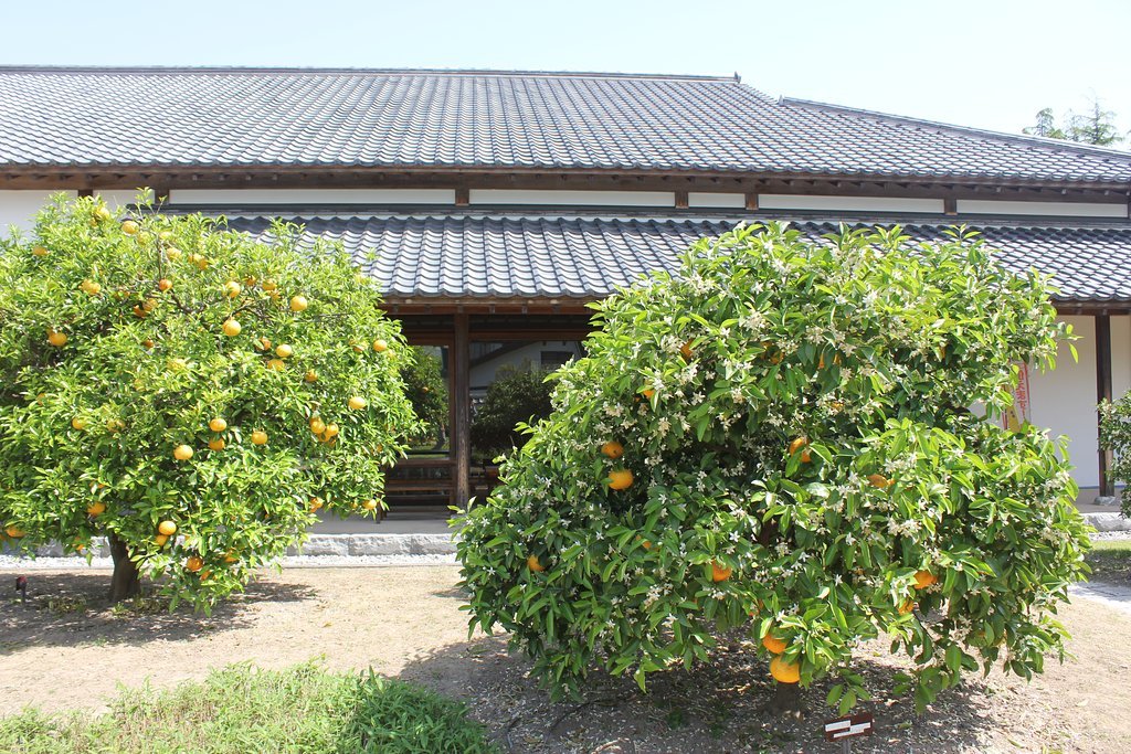 Hagi Museum Restaurant